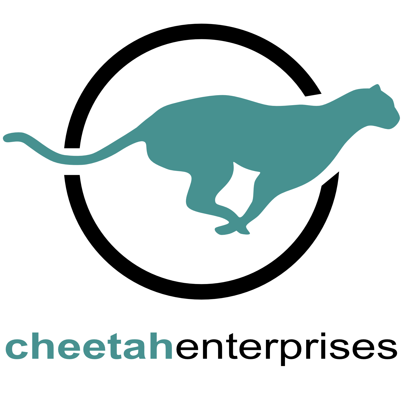 Cheetah Enterprises